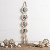 flangairy Coastal Wall Decor 3d Seashell Starfish Conch Wall Hanging Beach Nautical Ocean Theme Bathroom Home Decorations Sea Shell Art