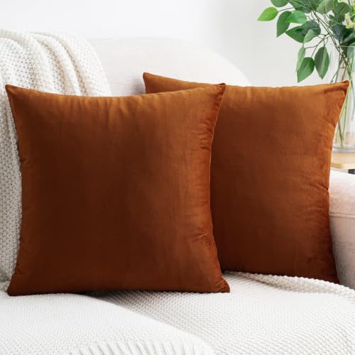 HWY 50 Burnt Orange Throw Pillow Covers Velvet 18x18 Inch Pack of 2