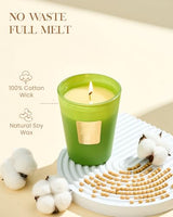 M&SENSE Rosemary Eucalyptus Soy Candle, 14.1oz, Summer Refresh Scent