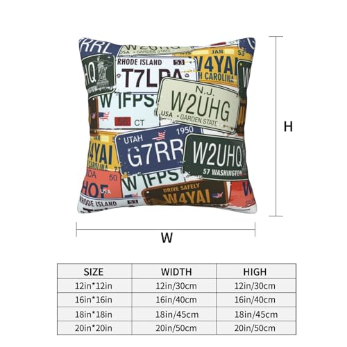 License Plate Deluxe Fabric Throw Pillows,Square Lumbar Pillows,Elegant Addition to Any Room