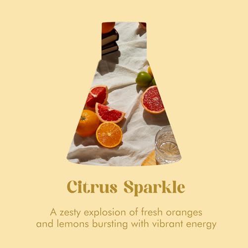 Reed Diffuser Set for Home, Citrus Scented Diffuser with 6 Diffuser Sticks, Home Fragrance Scent Essential Oil Stick Diffuser for Christmas Shelf Decor,3.4 oz