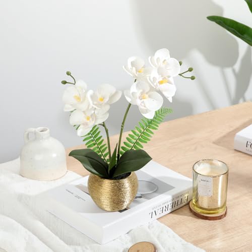Briful Artificial Orchid Flowers in Gold Ceramic Pot, 13" Small White Faux Phalaenopsis Orchid Floral Arrangement Fake Silk Orchid for Bathroom Vanity Office Desk Shelf Nightstand Home Table Decor