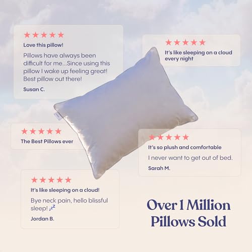FluffCo Down Alternative Bed Pillows - Standard/Queen Size, Soft (2 Pack)