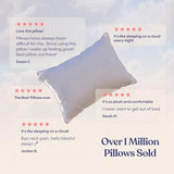 FluffCo Down Alternative Bed Pillows - Standard/Queen Size, Soft (2 Pack)