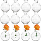 SOUJOY Set of 12 Small Glass Ball Bud Vase, Unique Mini Low Sitting Flower Vase, Clear Floral Centerpieces for Home Decor, Weddings, Floral Arrangements, Events, Parties