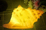 GREENIC Portable Conch Shell Beach Themed Night Light w Timer for Kids Adults Bedroom Nightstand Lamp Nautical Lighting Battery Operated, Warm White