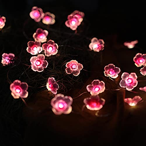 Cherry Blossom Fairy String Lights Sakura Pink Flower Decorative Lights Modern Décor 10ft 30LEDs with Timer Remote Control for Bedroom Floral Garland Centerpieces
