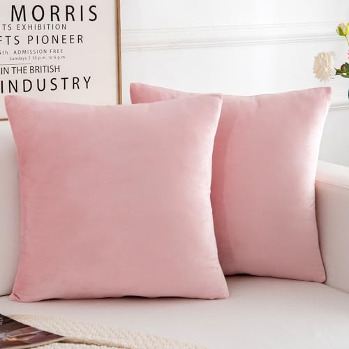 Velvet Decorative Throw Pillow Covers, Soft Square Cushion Case Home Decor for Living Room Couch Bed Sofa, Set of 2 Pack, Pink, 18x18 Inch