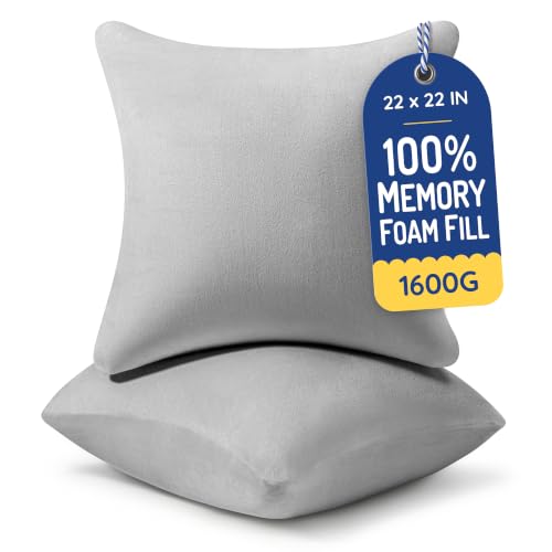 AM AEROMAX 22x22 Memory Foam Throw Pillow Inserts, 2 Pack, Square, Gray