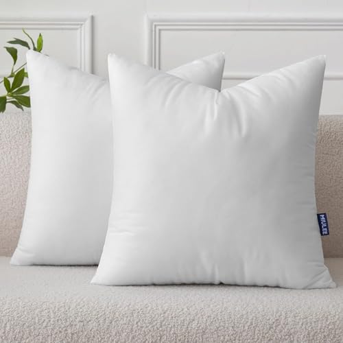 MIULEE Pillow Insert 20x20 Inch Set of 2 Decorative Throw Pillow Inserts