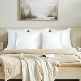 24x24 Pillows Inserts Set of 2, Throw Pillows 24 Inch Premium Down Alternative Pillow Inserts, 24 by 24 Square Premium Cushion with 100% Cotton Cover for Bed, Sofa, Couch