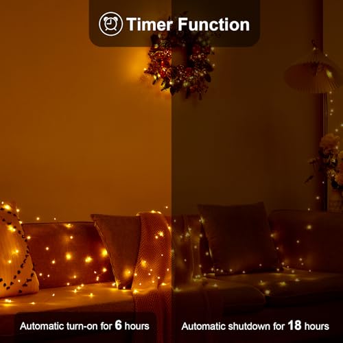 Ariceleo 1 Pack 16.4ft Battery Operated String Lights with Timer, Warm White with Synchronized Twinkle Mode, Fairy Lights Battery Powered, 50 LEDs, Idea for Christmas Bedroom Party Wedding