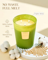 M&SENSE Rosemary Eucalyptus Soy Candle, 35oz 3-Wick, Summer Spa Meditation