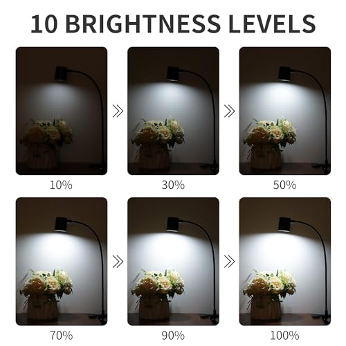 Dott Arts Desk Lamp,USB Clip On Light,Book Lights for Reading at Night,3 Color Modes,10 Brightness Clamp Lights,360° Gooseneck LED Reading Light for Books in Bed,Eye-Care for Home Office,Headboards