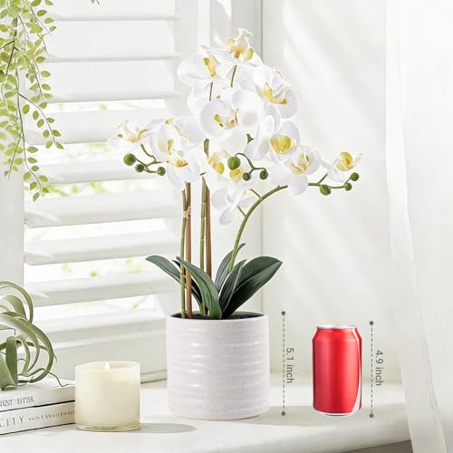 Fake Orchid Plant 23" Tall, Realistic Touch Leaves, Potted Phalaenopsis Artificial Plants Indoor for Home Decor Small Office Home Living Room-White