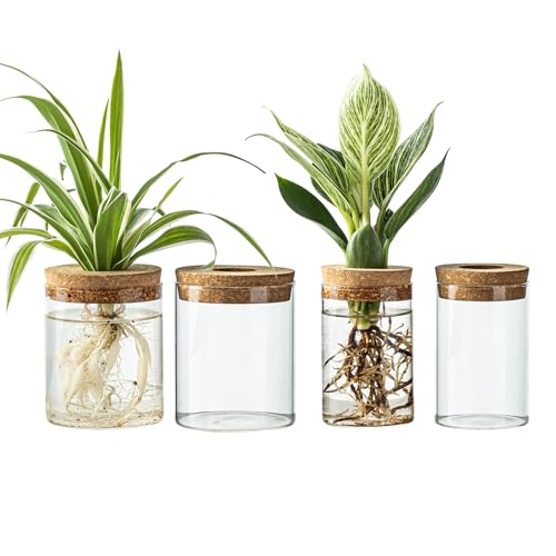 Glass Propagation Stations for Plants -Desktop Flower Vases,Propagation Flower Vases Set – 2 Large & 2 Small for Plant Cuttings，for Living Room, Bedroom Decoration,Home,Office Decor (4)