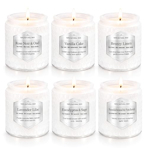 Scented Candles Gift Set for Women, 6 Pack Aromatherapy Soy Candles for Home, Long Lasting Decorative Jar Candles for Birthday, Relaxation, Self Care