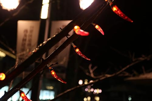 OKBA 2pack red Chili Pepper String Lights,40 LED Pepper String lamp Indoor Kitchen Decor Outdoor Mexican Decorations Light, Battery Powered for Chinese New Year,Holiday Party,Christmas Home Decor