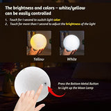Funnli Niece Gifts Acrylic Plaque and Moon Lamp