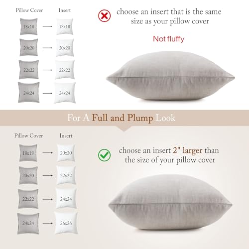 puredown® Euro Pillow Inserts 26 x 26 (Pack of 2, White), Down Feather Pillow Stuffer, Premium White Pillows for Bed, Couch, and Cushion