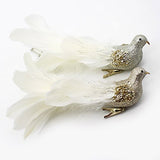 Yolococa Champagne Christmas Tree Decoration Birds,10x2x2 inches,2pcs