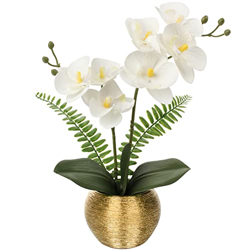Briful Artificial Orchid Flowers in Gold Ceramic Pot, 13" Small White Faux Phalaenopsis Orchid Floral Arrangement Fake Silk Orchid for Bathroom Vanity Office Desk Shelf Nightstand Home Table Decor