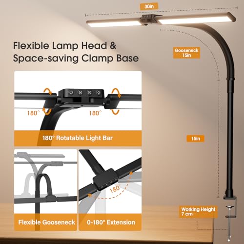 LED Desk Lamp for Home Office - Dimmable Computer Desk Light with Clamp, Modern Architect Task Lamp with Color Changing, Flexible Desktop Lamp with Gooseneck for Monitor, Double Head, Black