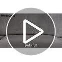 PrinceDeco Velvet Couch Cover Loveseat Covers for 2 Cushion Couch 3 Piece Sofa Covers for Dogs Washable Loveseat Covers Width Up to 72 Inch No Slip Stretch Sofa Slipcover(Medium, Taupe)