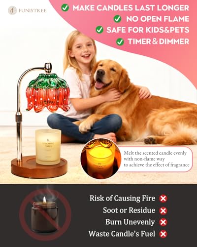 Strawberry Candle Warmer Lamp with Timer & Dimmable Brightness, House Warming Gift New Home, Candle Warming Gift for Mothers Day, Birthday Gifts for Women Mom,Flameless Wax Melt Warmer for Jar Candles