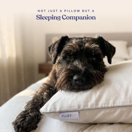 FluffCo Down Alternative Pillows - King Size, Soft (2 Pack)
