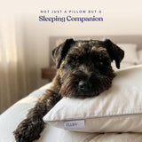 FluffCo Zen Fluff® Down Alternative Bed Pillow - Firm, Queen Size (1 Pack)