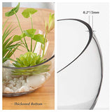 WGVI Clear Slant Cut Bowl Glass Vase, Glass Terrarium, Candy Dish, Glassware, Slant Open: 7". Height: 6" x 2.7". Base: 4" (1 Piece)