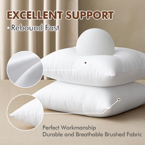 MIULEE 22x22 Pillow Insert, Premium Throw Pillow with Virgin Fiber Filling