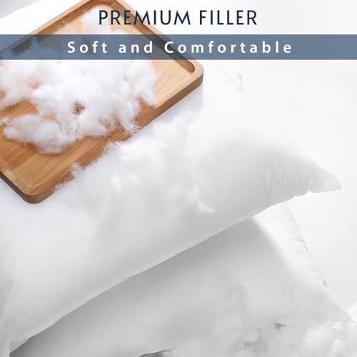 OTOSTAR Set of 4 Pillow Inserts 20x20 Inch, Decorative Square Throw Pillow Inserts, Premium Fluffy Pillow Forms Sham Stuffer for Sofa Bed Couch Living Room- Indoor