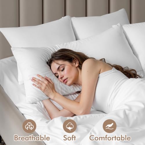 MIULEE 16x20 Inch Premium Lumbar Throw Pillow for Bed Sofa Couch