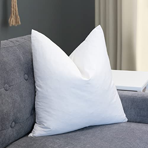 Westex Premium Feather Throw Pillow Insert, 22" x 22"