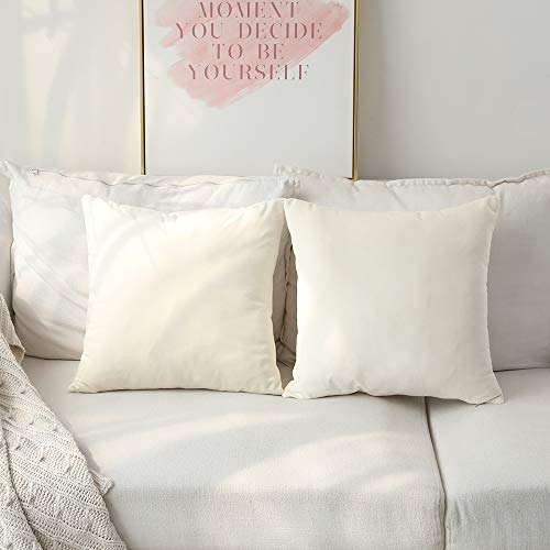 Set of 2 Comfortable Throw Pillow Cover for Bedding, Decorative Accent Cushion Sham Case for Couch Sofa, Soft Solid Velvet with Zipper Hidden - 20"x20", Ivory