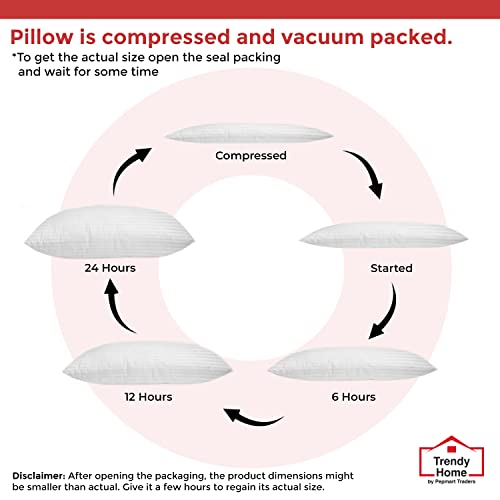 Trendy Home 12x20 Throw Pillow Insert, Cushion Sham Stuffer Hypoallergenic, Lumbar Support Decorative Home Outdoor Couch Pillow Filler (Machine Wash)