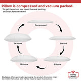 Trendy Home 12x20 Throw Pillow Insert, Cushion Sham Stuffer Hypoallergenic, Lumbar Support Decorative Home Outdoor Couch Pillow Filler (Machine Wash)
