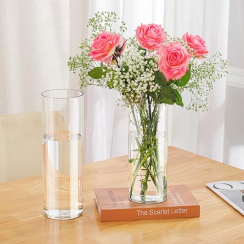 Acrylic Cylinder Plastic Vase for Centerpiece, Unbreakable Hurricane Tall Large Plastic Vases for Proposals Wedding, Hydroponic Decor Base Set of 2 with DIY Stickers(D 4" + D 4.8" X H 12" Clear)