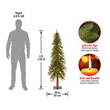 National Tree Company 5 ft Unlit Hickory Cedar Artificial Christmas Tree, 371 Tips, Metal Plate Base, Green