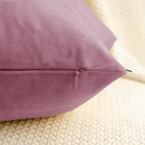 HWY 50 Purple Pink Throw Pillow Covers Velvet 18x18 Inch Pack of 2