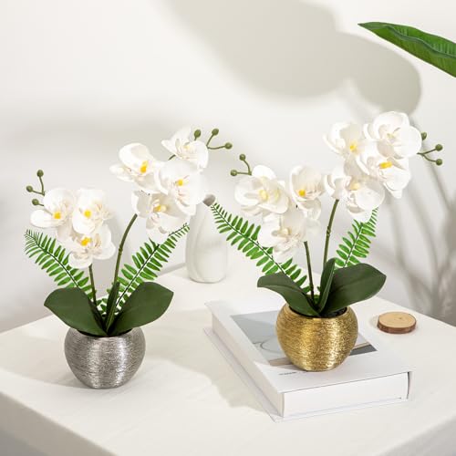 Briful Artificial Orchid Flowers in Gold Ceramic Pot, 13" Small White Faux Phalaenopsis Orchid Floral Arrangement Fake Silk Orchid for Bathroom Vanity Office Desk Shelf Nightstand Home Table Decor