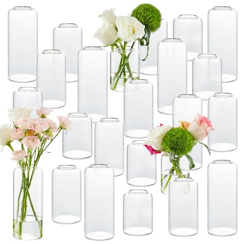 Glass Bud Vases Set of 24, Clear Flower Vase for Centerpieces, Small Vases for Flowers, Decor Centerpiece for Bathroom, Decorative Vases for House Warming