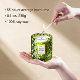 Chloefu LAN Balsam & Cedar Scented Candle Christmas Candles Gift, Christmas Festival Gifts, Large Luxury Scented Soy Jar Candles with up to 55 Hour Long Lasting, Highly Scented, 8.1oz