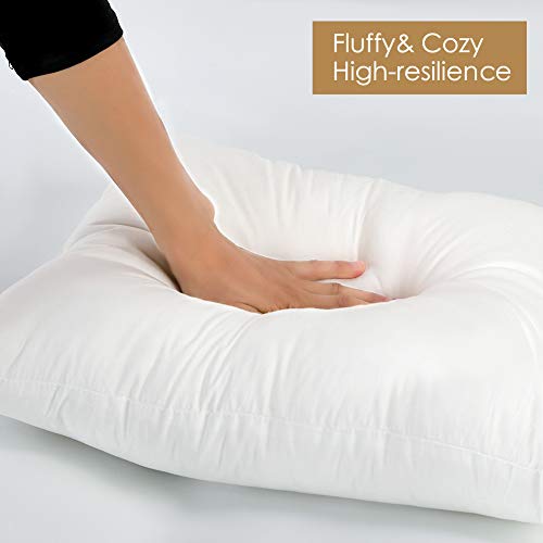 OTOSTAR 16x24Inch Throw Pillow Inserts, Set of 1 Rectangle Form Cushion Stuffers for Couch, Sofa, Bed - Indoor Decorative Pillows Inserts