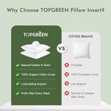 TOPGREEN Feathers Down Throw Pillow Inserts 12x20, Set of 2, 100% Organic Cotton Shell, Soft Decorative Lumbar Pillow Insert for Living Room Sofa, Couch, or Bed (White)