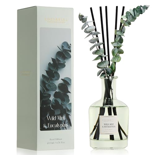 COCORRÍNA Wild Mint & Eucalyptus Reed Diffuser – 6.76 oz Essential Oil with 8 Reeds & Real Eucalyptus Sticks, Home Fragrance for Bedroom or Bathroom Décor