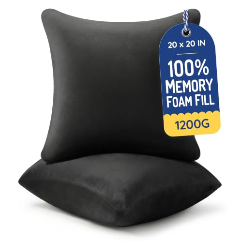 AM AEROMAX 20x20 Memory Foam Throw Pillow Inserts, 2 Pack, Square, Black