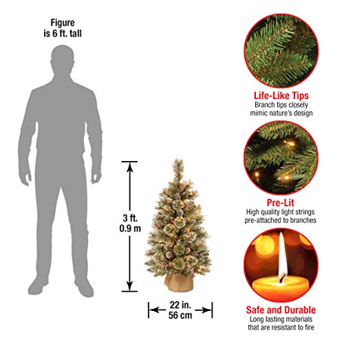 National Tree Company 3 ft Pre-Lit Glittery Bristle Mini Artificial Christmas Tree, Pinecones, 35 Clear LED Lights, 144 Tips, Timer, Burlap Base, Green